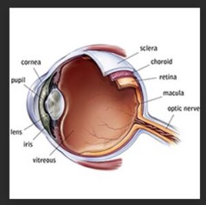 eye diagram